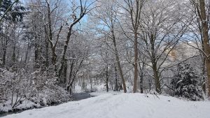 2018 Germany Photo 5